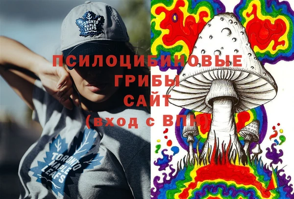 2c-b Беломорск