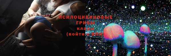 первитин Белокуриха