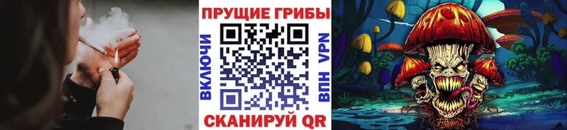 Галлюциногенные грибы Cubensis  нарко площадка официальный сайт  Вязьма 